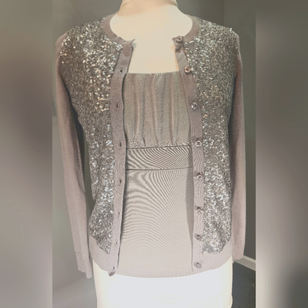 Ann Taylor Silver Sequined Cardigan